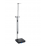 MS3450 Medical Column Scale