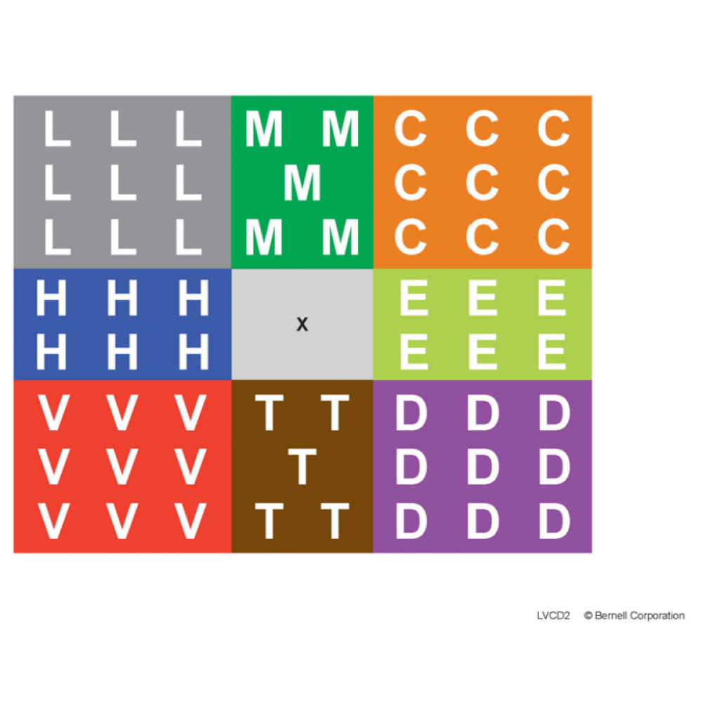 Low Vision Field Detector 2