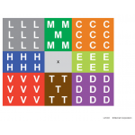 Low Vision Field Detector 2