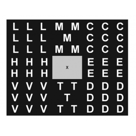 Low Vision Field Detector 2