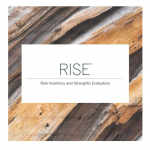 (RISE®) Risk Inventory and Strengths Evaluation