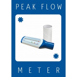 Peak Flow Meter