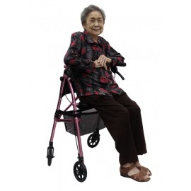Stander EZ Fold-N-Go Rollator Walker