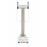 Tanita Multi-frequency Segmental Body Composition Analyzer BCA with in-built SD card facility