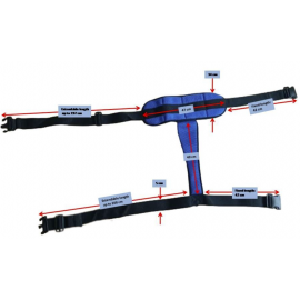 Fu Kang Restraining Seat Belt with Pommel Belt (Blue)