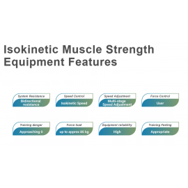 TURTLE GYM Isokinetic Abdominal Crunch / Back Training