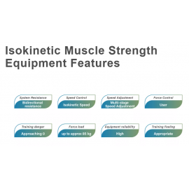 TURTLE GYM Isokinetic Waist Twist / Rotary Torso Training
