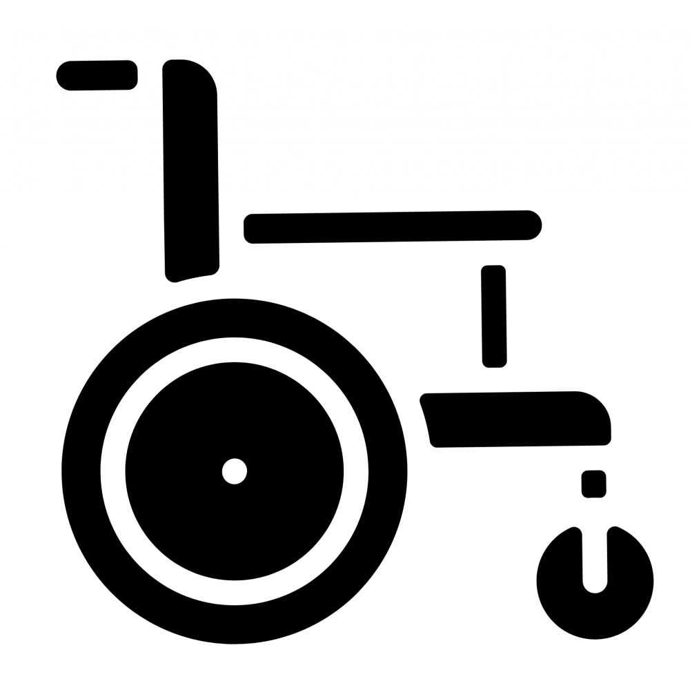 Bion Wheelchair Rental