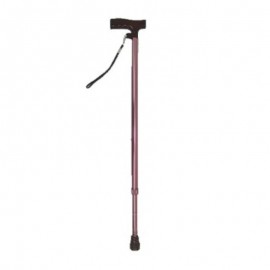T-Handle Walking Stick