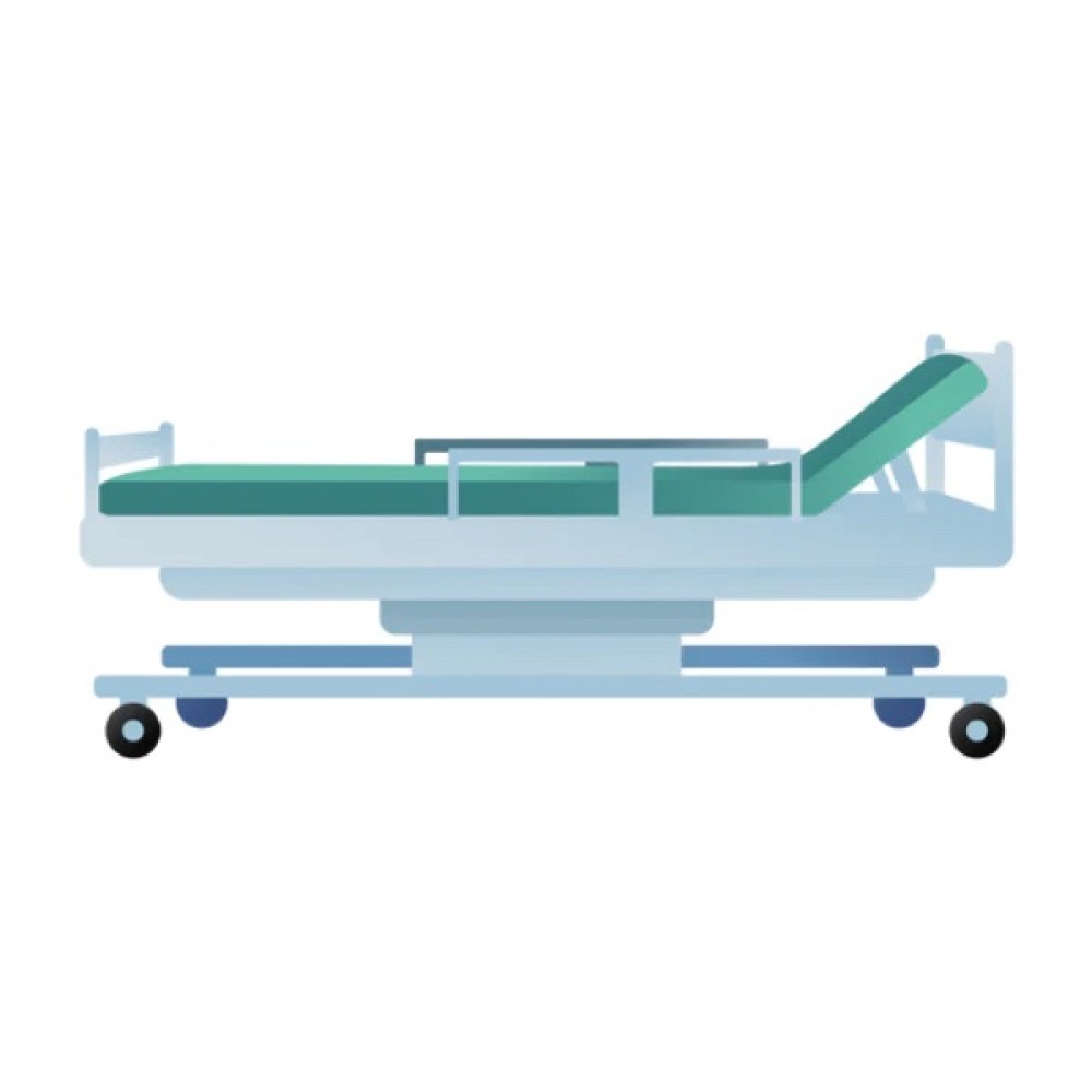 Electric Hospital Bed Rental 