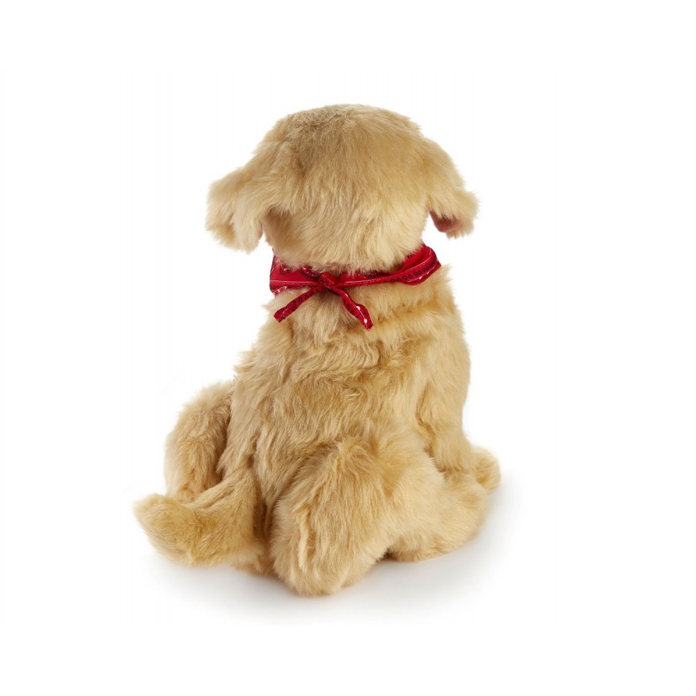 Companion Pet Pup Fu Kang Online Store