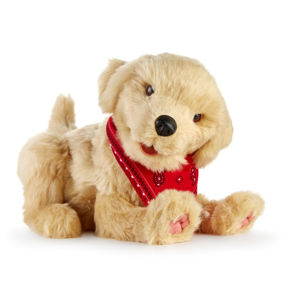 Companion Pet Pup Fu Kang Online Store
