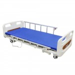 Electric 3 Functions Low Bed with Dual Side Rails & Backup Battery Pack