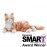 Companion Pet Cat For Elderly