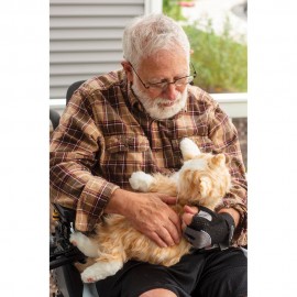 Companion Pet Cat For Elderly