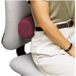 Lumbar Standard Roll Without Straps 