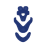 Deroyal Capital Advanced Cervical Collar Advanced