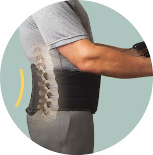 Back Pain Relief Posture Corrector Brace – The Evergreen Cart